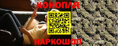 спиды Донской