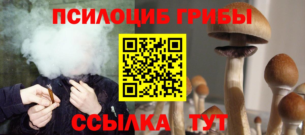 Псилоцибиновые грибы Psilocybine cubensis  Вход с VPN  Лесосибирск 